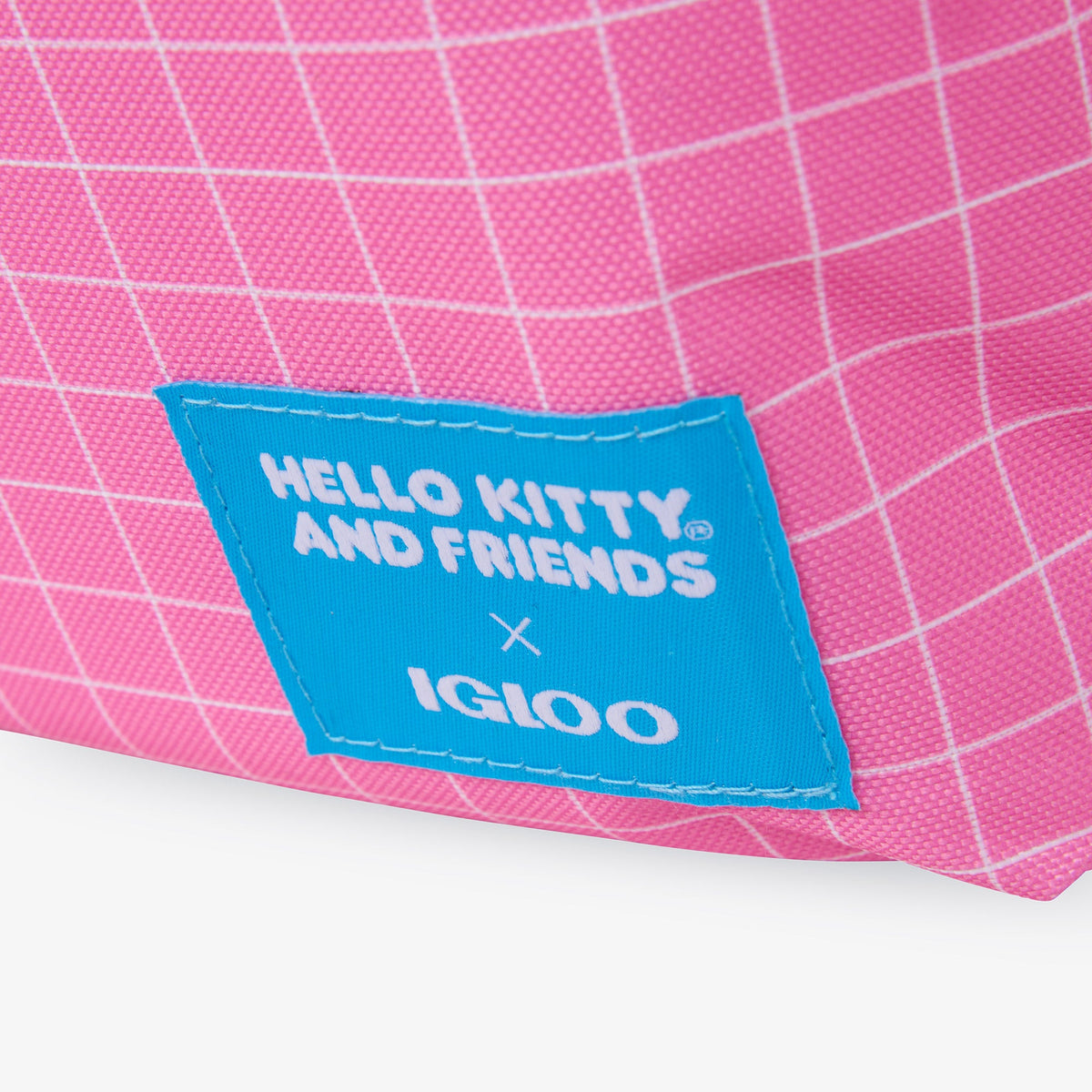 hello-kitty-and-friends-bff-mini-convertible-backpack-cooler-w1 00027591-L.jpg