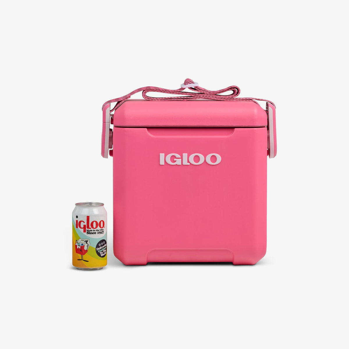 tag-along-too-remix-cooler-r5 00033199-P_861a5cd2-f15c-4217-a471-e33cc3890d9e.jpg