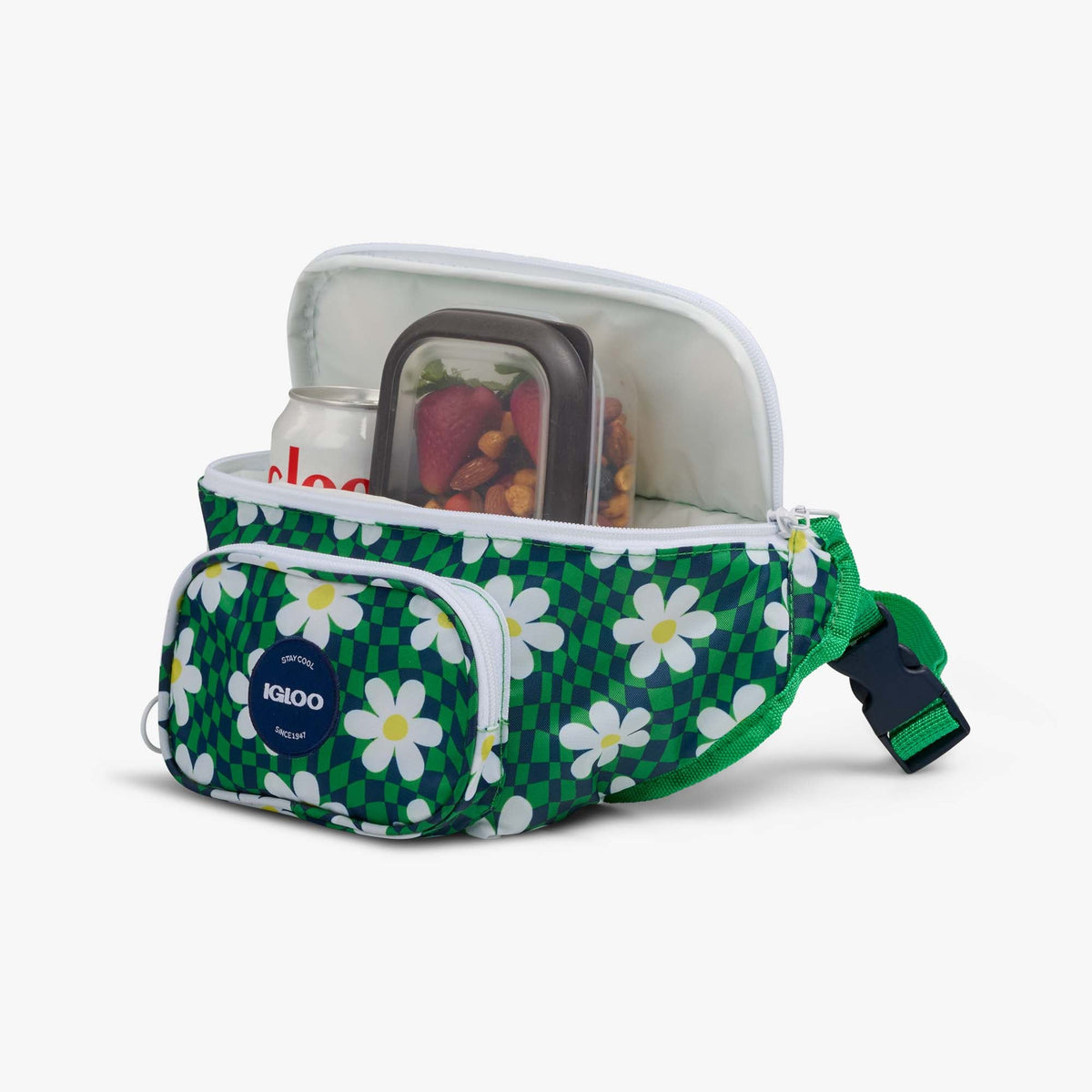 retro-fanny-pack-v0 00067206-P1.jpg